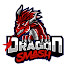 E28OCIippgw-channel-avatar-Dragon Smash