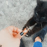 Автор
