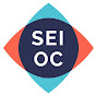 SEIOC Sociedad Española de Inflamación Ocular logo