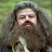 @user-Hagrid-Rubeus