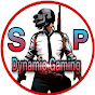 Dynamic Gaming S.P logo