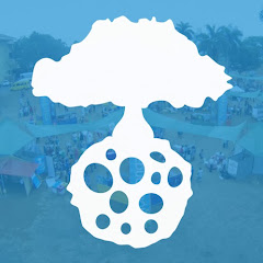 FestivalAbierto