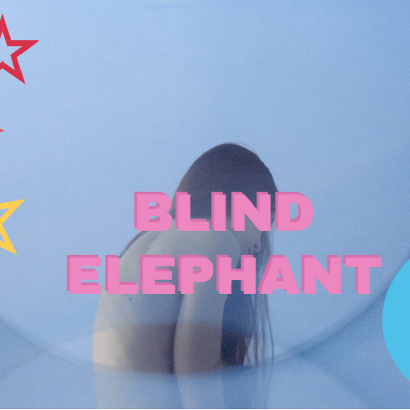 BLIND ELEPHANT