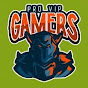 Pro VIP Gamers
