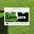 u1C63TpK2Vg-channel-avatar-#Lawnporn lawn care tips
