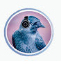 JACKDAW SOUND logo