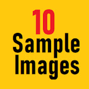 10 Sample Images