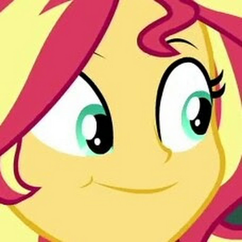 Wissle icon