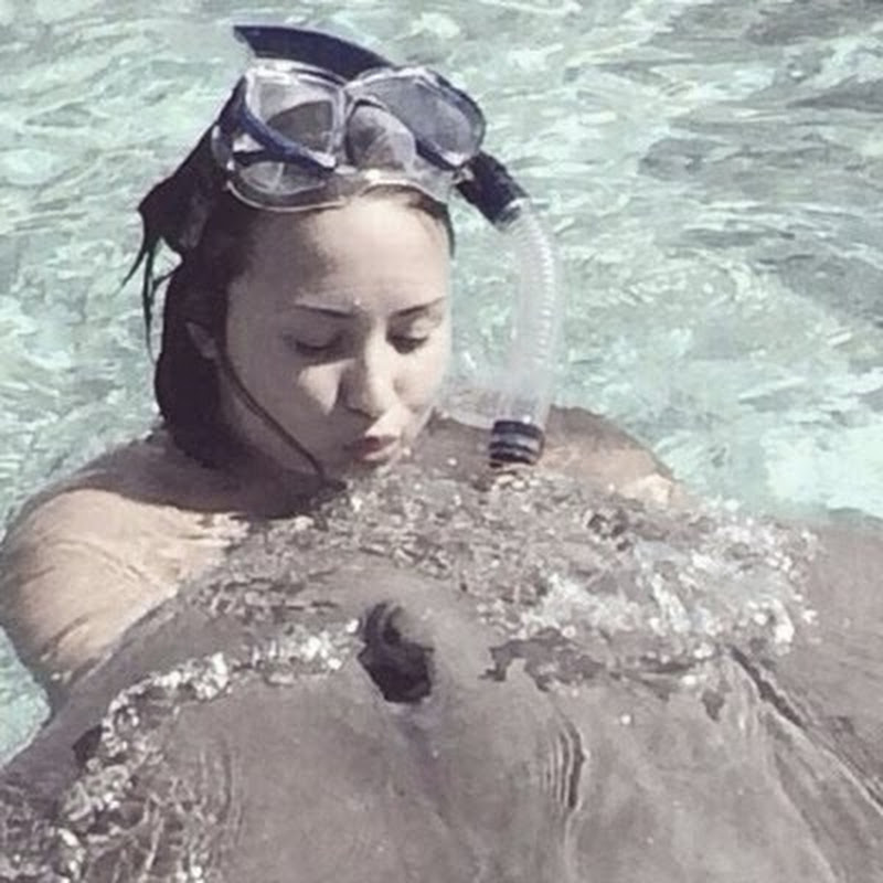 DemiLovatoAddictionx