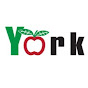 York Imperial Plastics logo