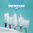 Snowboxx