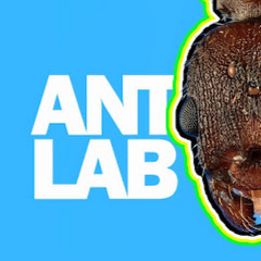 Ant Lab avatar