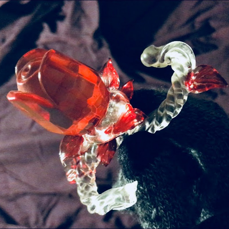 ASMR Lysander