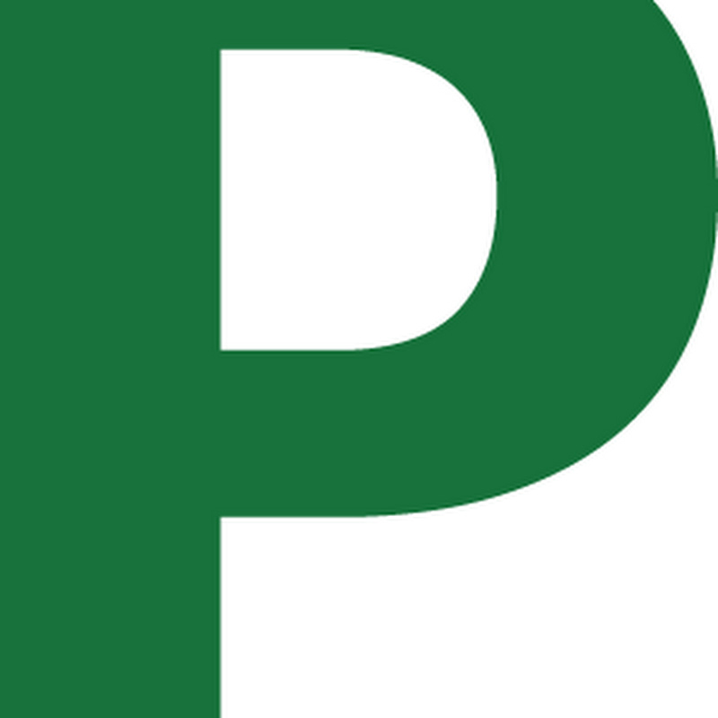 Pisara