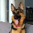 @jimmyg8338 Avatar