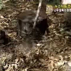 水出しコーヒーアイコン画像