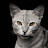 @cesarpandogg2095 Avatar