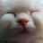@최호성-t3g