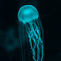 La Cnidaria Béntica [Tramoya] logo