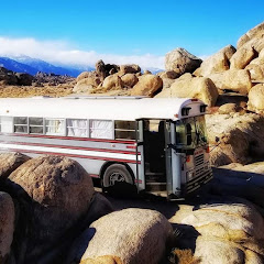 The Bus Story