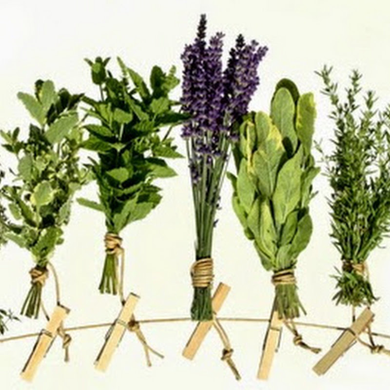 Herbal Health Care