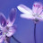 @meriem-meriem32