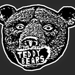 teddybears net worth