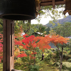 西山浄土宗 総本山 光明寺ー浄土門根元地