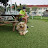 @user-fq2zh7tw4i