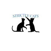 Strictly Cats
