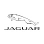 Jaguar Russia