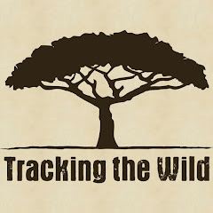 Tracking the Wild