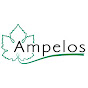 Ampelos Consorzio Italiano Vivaisti Viticoli logo