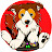 ラッシー / LASSIE