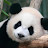 @user-rr3gv7xf8f