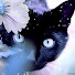 AuyPH0ZUtoY-channel-avatar-Vanessa