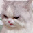 @marmwlade Avatar