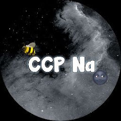 CCP Na channel logo
