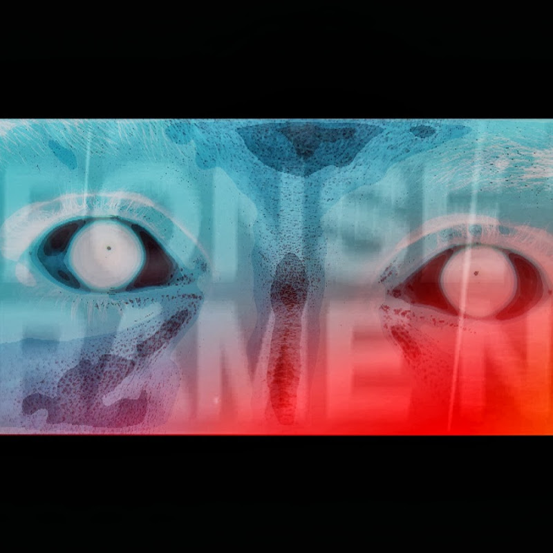 BlueLensFilms11 icon