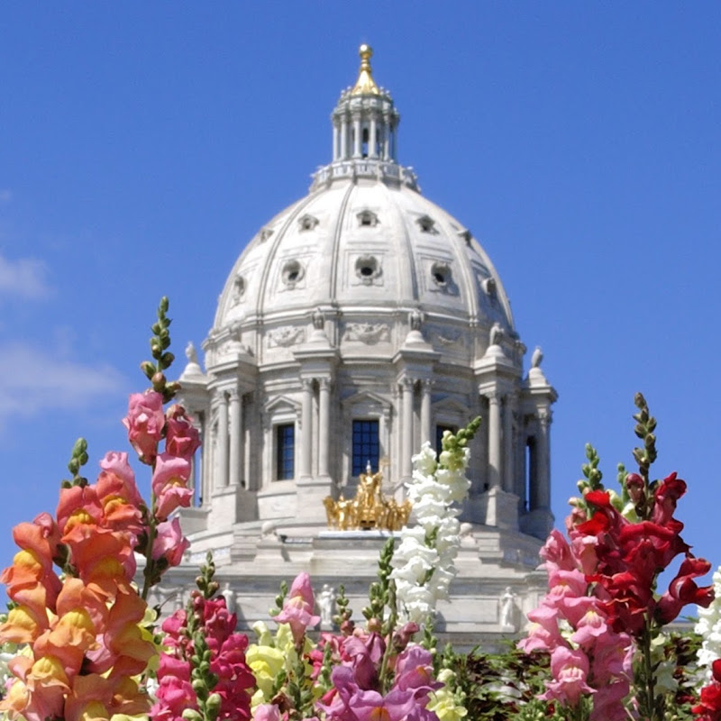 MNHouseInfo