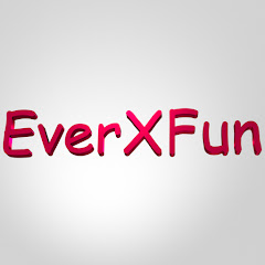 EverXFun net worth