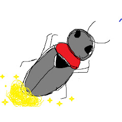 ホタルのごみ箱