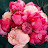 @peony_xyz