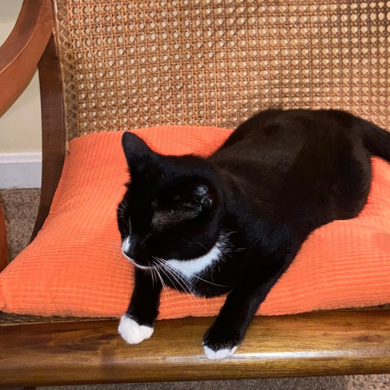 Felix The Cat