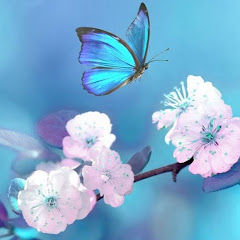 薩克斯風輕音樂Soothing Relaxationアイコン画像