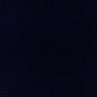 Profile Picture of SmallAnt