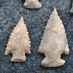 Rocks Cousteau net worth