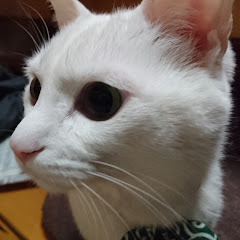 ペコ様