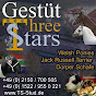 Gestüt Three-Stars logo