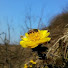 Iten_6So7o4-channel-avatar-임실 농사꾼